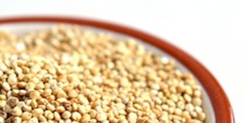 🌺🌿Miel aux graines de nigelle -250g- Les douceurs du Maroc